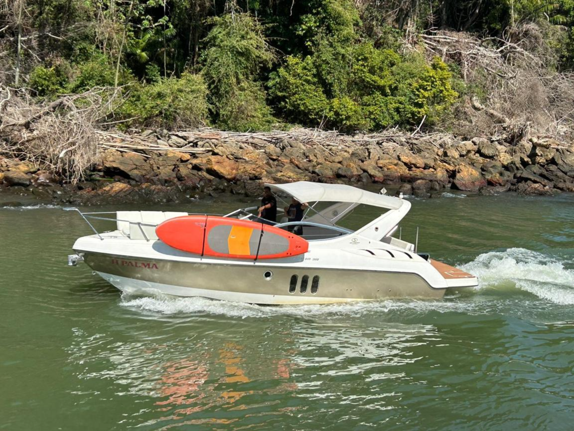 Phantom 290 B Phantom 290