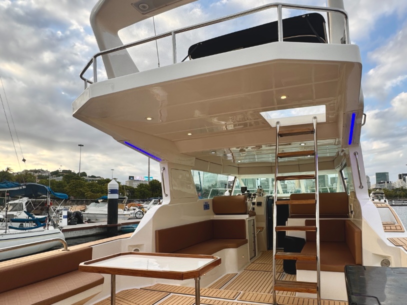 Cobra 40 gallery image 4