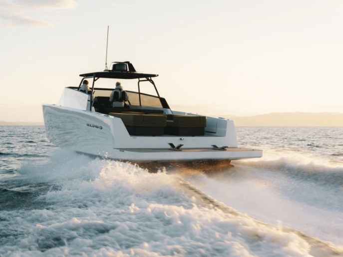 Goldfish 43 Ocean gallery image 4