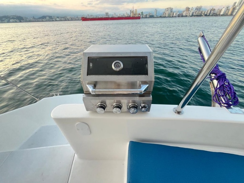 CatFlash 43 gallery image 9